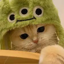 Trần Văn Quyết avatar